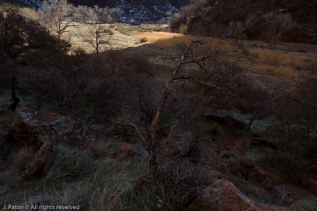 Riverside Walk   Zion National Park, Utah