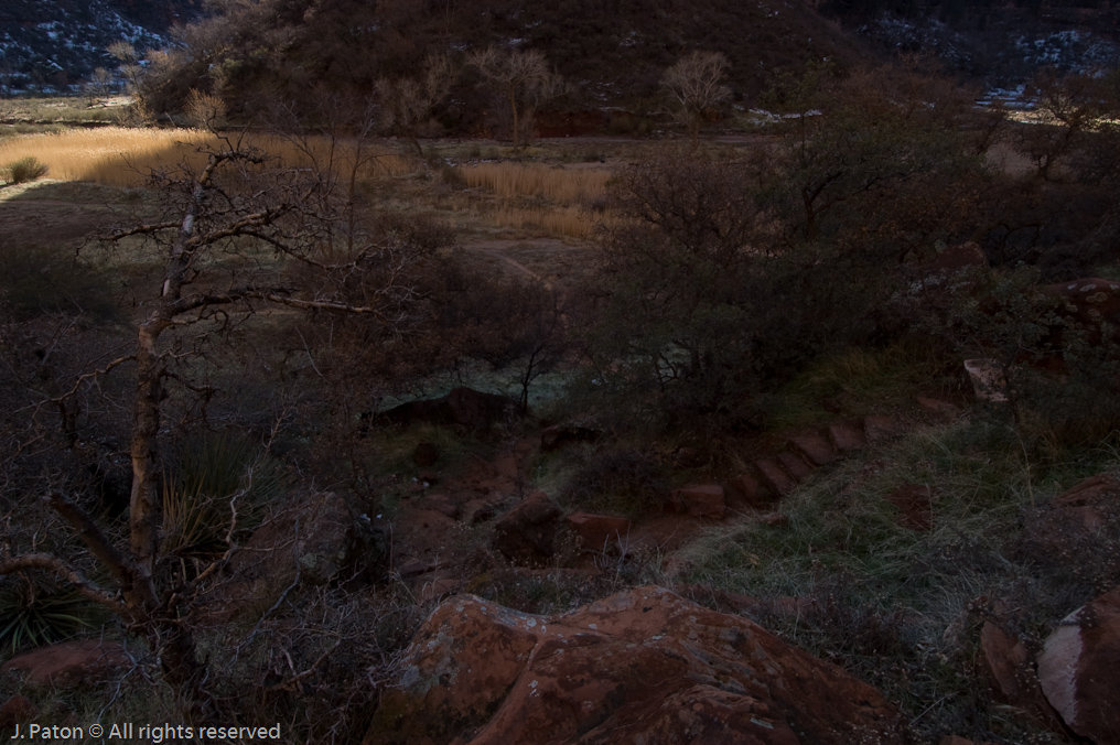 Riverside Walk   Zion National Park, Utah