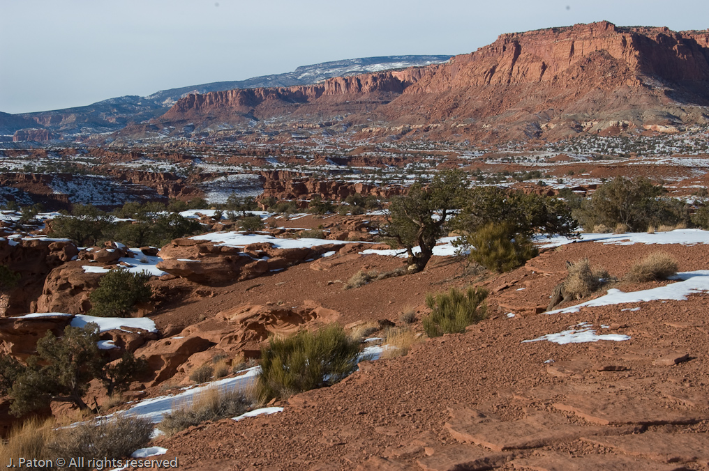 Panarama Point   Capitol Reef National Park, Utah