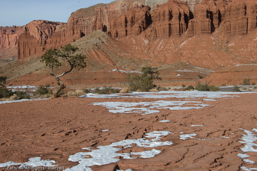 Panarama Point   Capitol Reef National Park, Utah