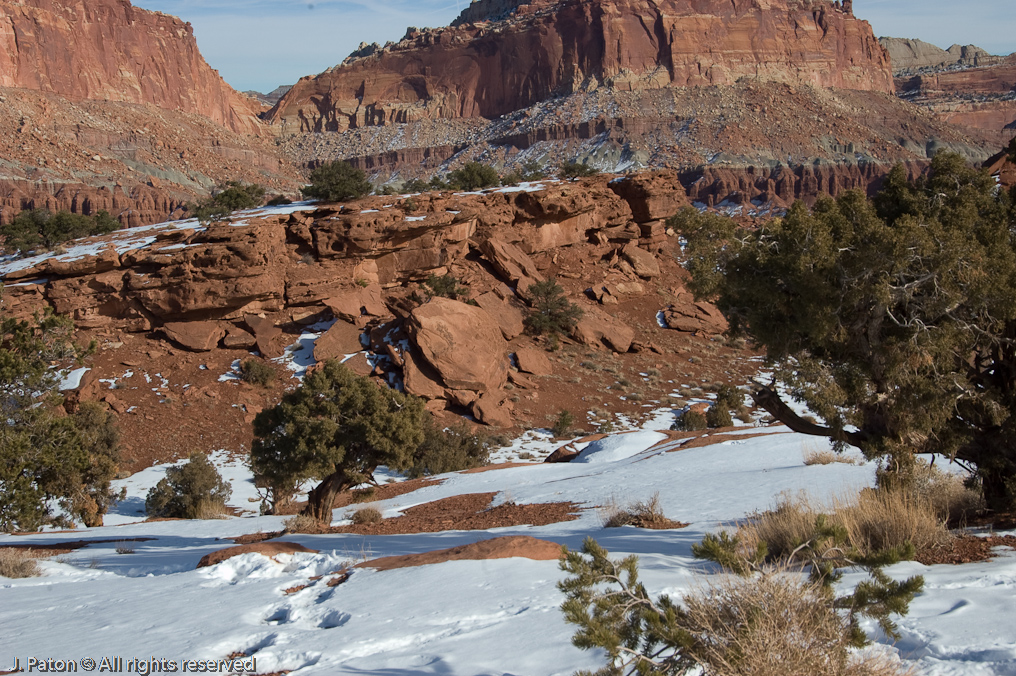 Panarama Point   Capitol Reef National Park, Utah