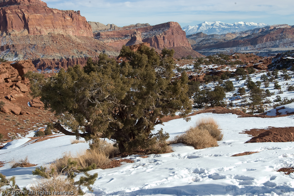 Panarama Point   Capitol Reef National Park, Utah