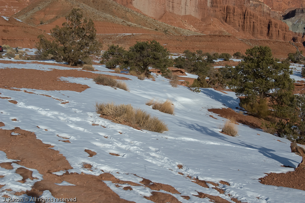 Panarama Point   Capitol Reef National Park, Utah