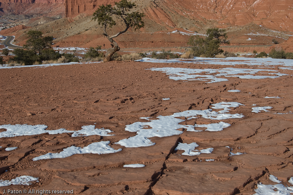 Panarama Point   Capitol Reef National Park, Utah