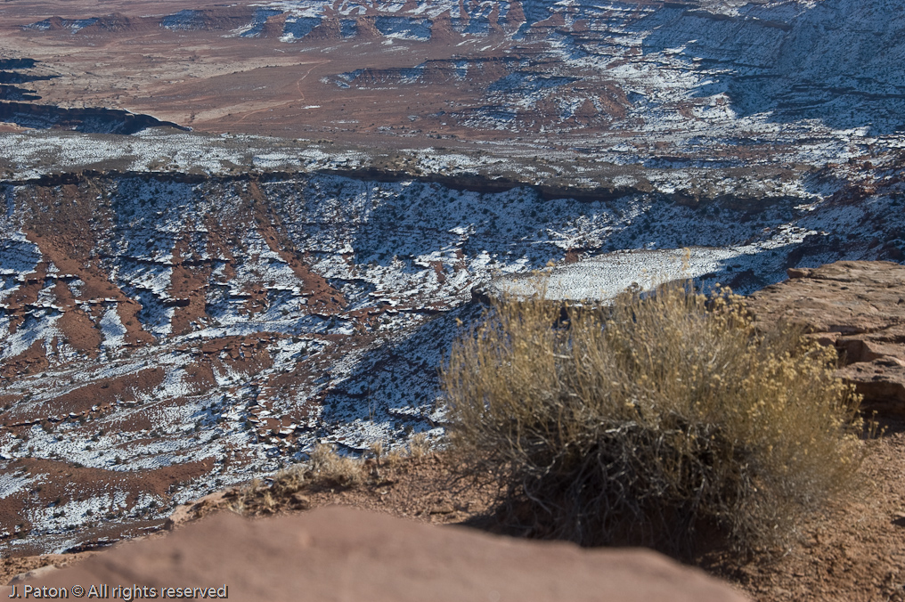 Buck Canyon Overlook   Canyonlands National Park, Utah
