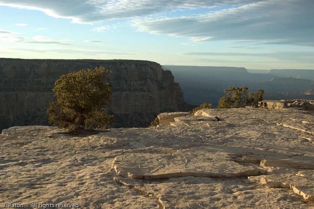 Yavapai Point Area   Grand Canyon National Park, Arizona
