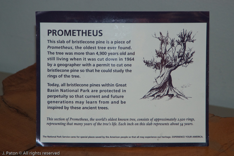 Visitors Center Display   Great Basin National Park, Nevada