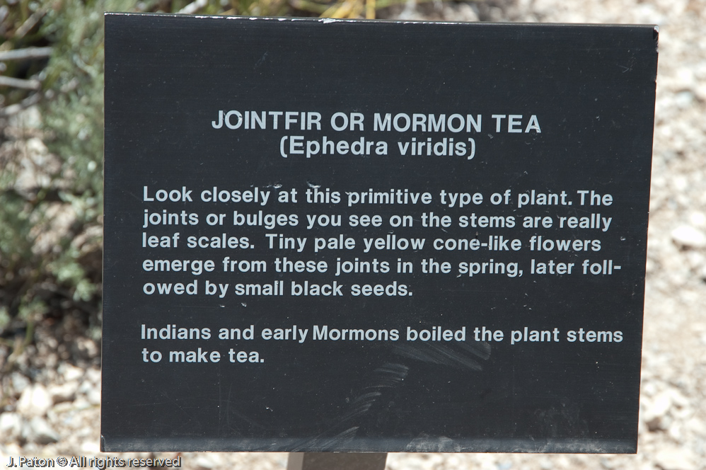    Great Basin National Park, Nevada