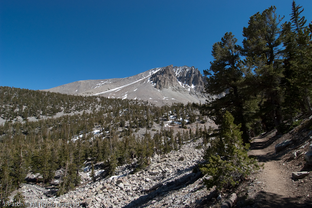 First Glimpse of some Bristlecone Pines   Great Basin National Park, Nevada
