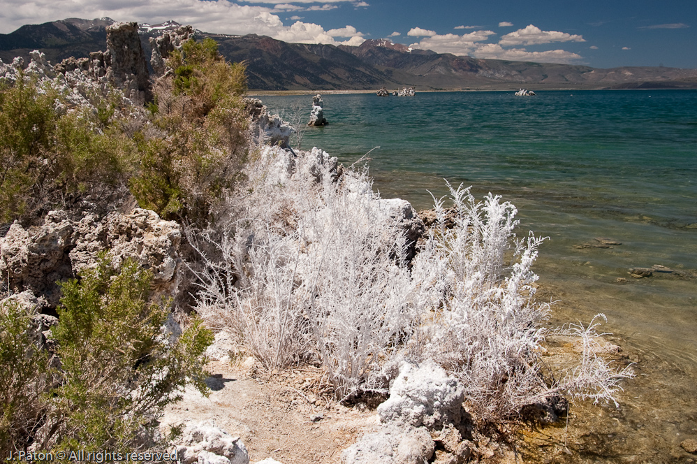 Crystalized Shoreline   Mono Lake State Natural Reserve, California
