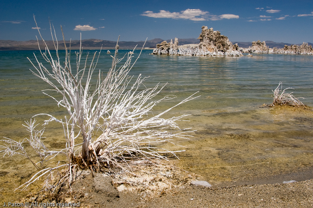 Mono Lake Shoreline   Mono Lake State Natural Reserve, California