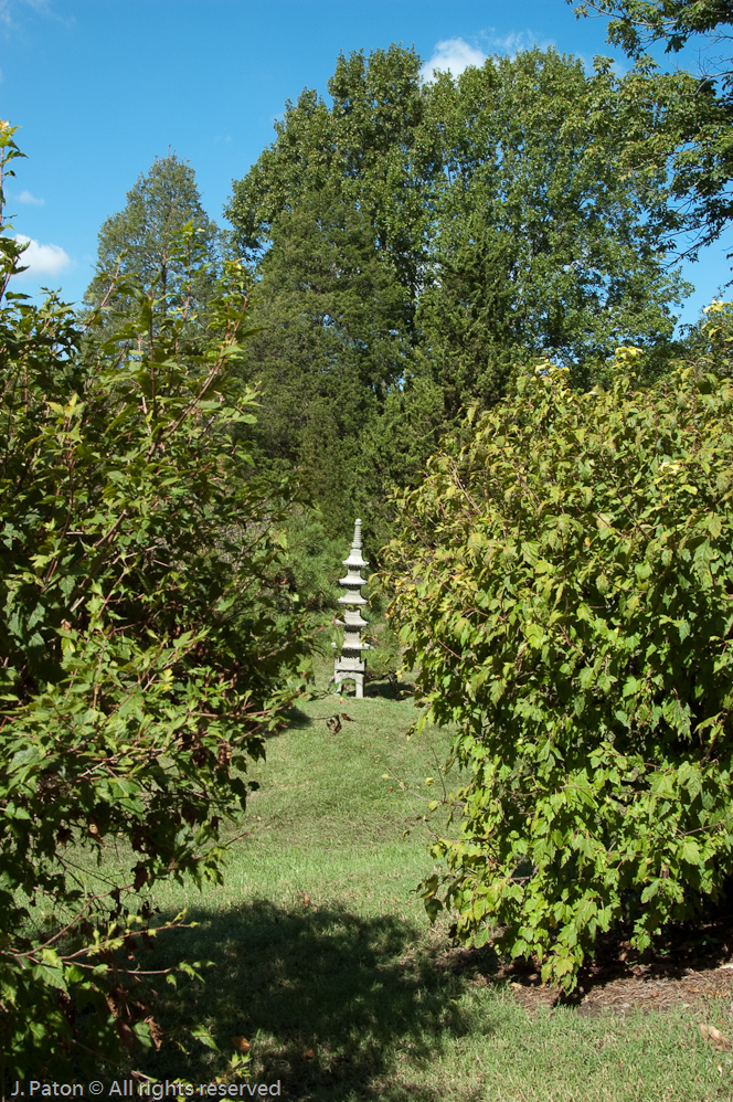 Japanese Garden   Cheekwood Botanical Garden‎, Nashville, Tennessee