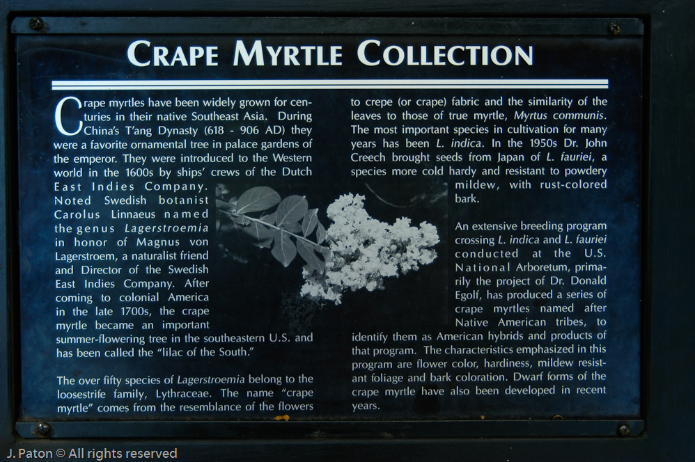    Cheekwood Botanical Garden‎, Nashville, Tennessee