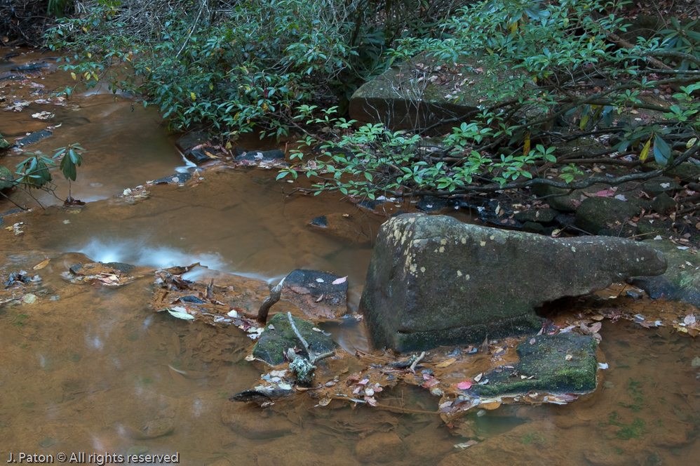 Stream on Trail  