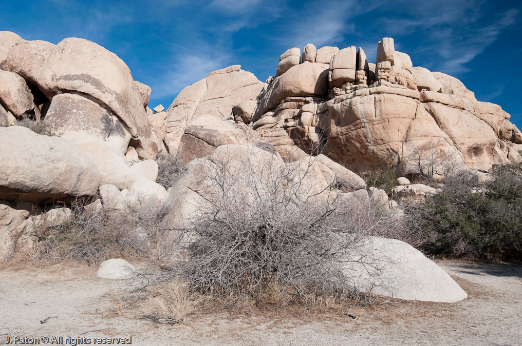 Rock Formations Along Trail   Joshua Tree National Park, California