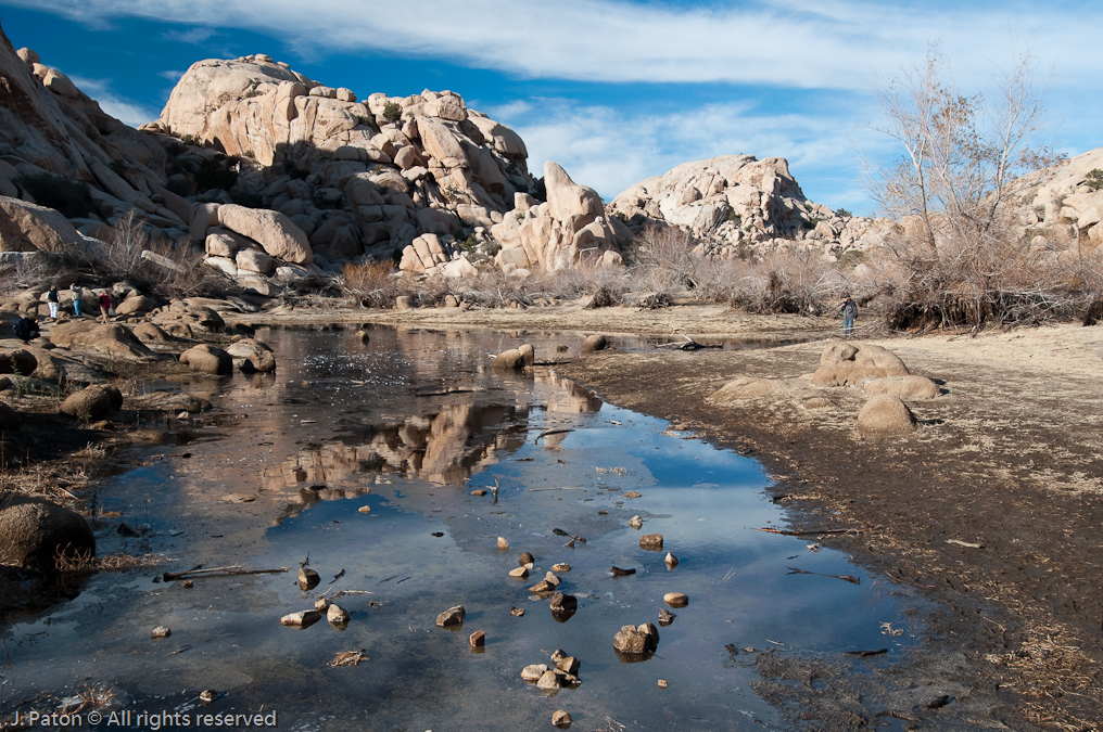 A Little Ice Still on the Water   Barker Dam Area, Joshua Tree National Park, California