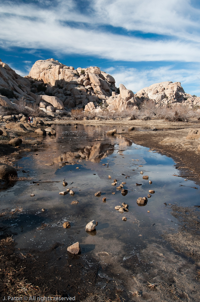 Water Collected by the Dam   Barker Dam Area, Joshua Tree National Park, California