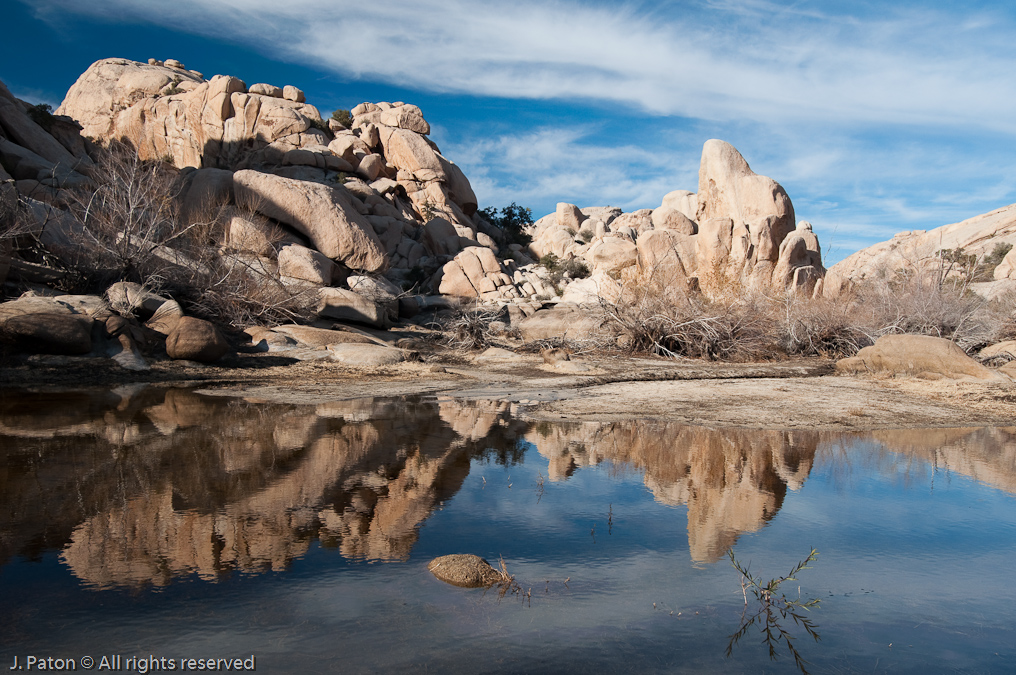 Reflections   Barker Dam Area, Joshua Tree National Park, California