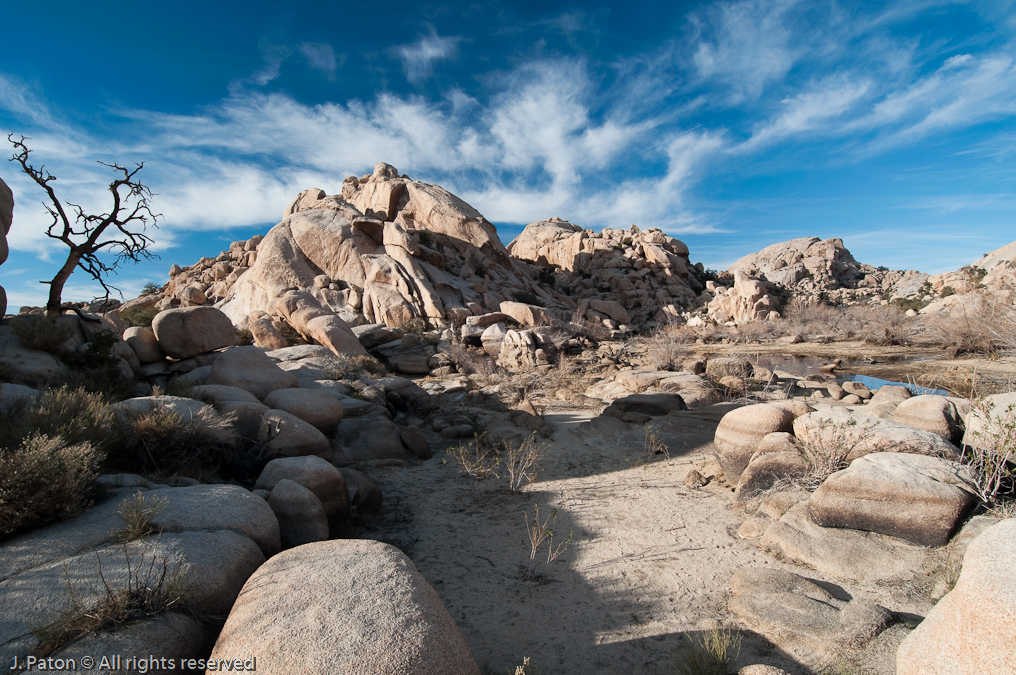 Trail Near the Dam   Barker Dam Area, Joshua Tree National Park, California
