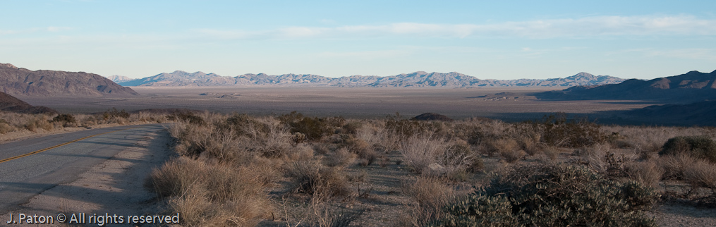 Pinto Basin   Joshua Tree National Park, California