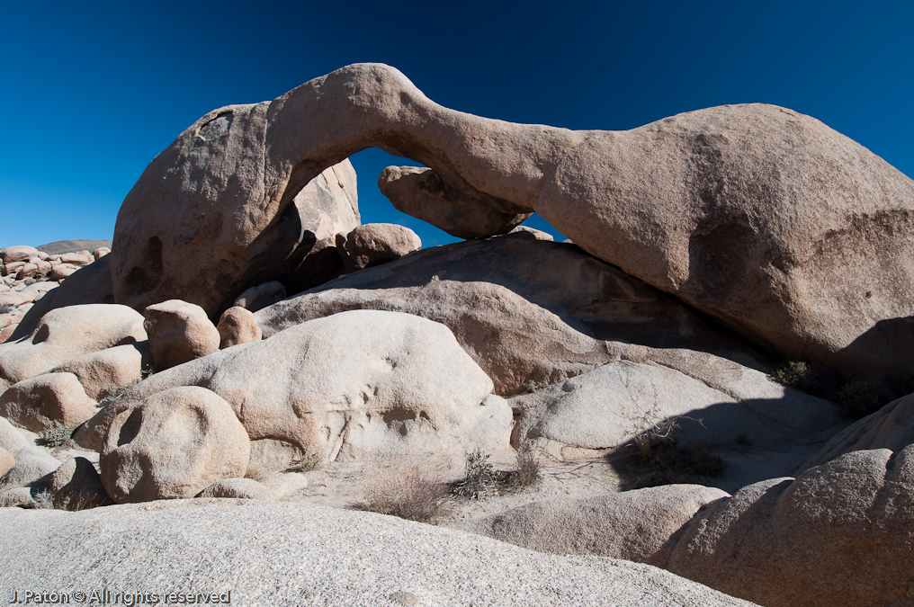 Wider View of Arch Rock   Arch Rock Trail, Joshua Tree National Park, California