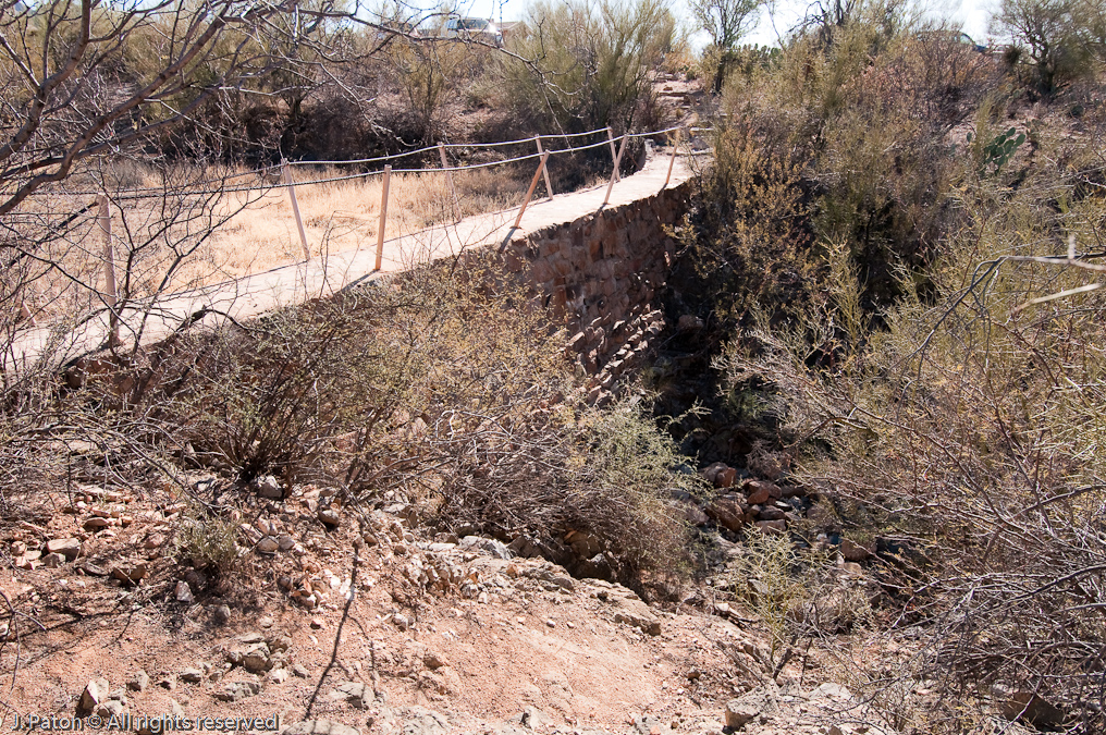 Signal Hill Trail   Saguaro National Park, Arizona