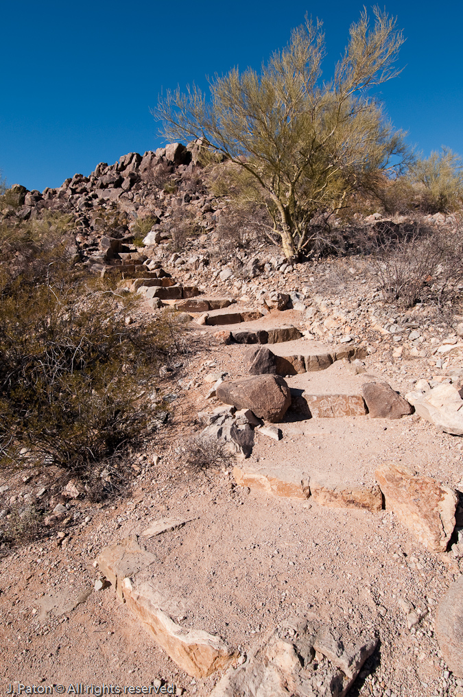 Signal Hill Trail   Saguaro National Park, Arizona