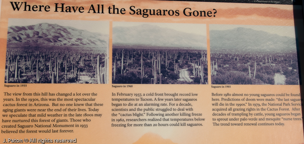 Sign   Saguaro National Park, Arizona