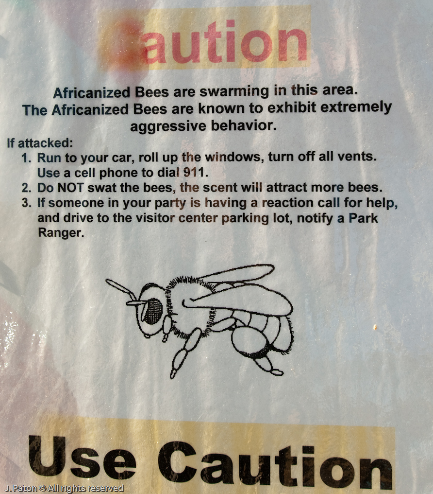 Bee Sign   Saguaro National Park, Arizona