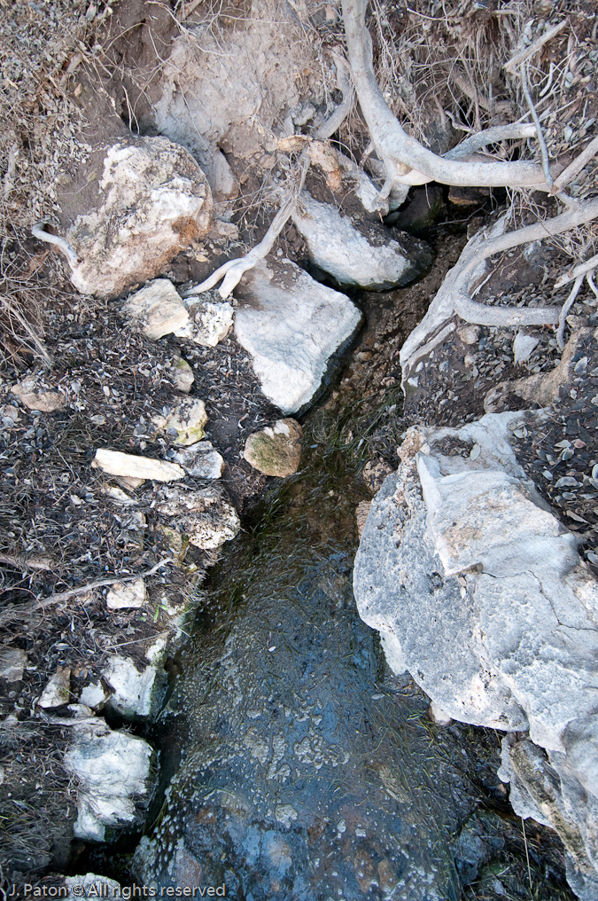 Where The Water Disappears Inside   Montezuma Well, Montezuma Castle National Monument, Arizona