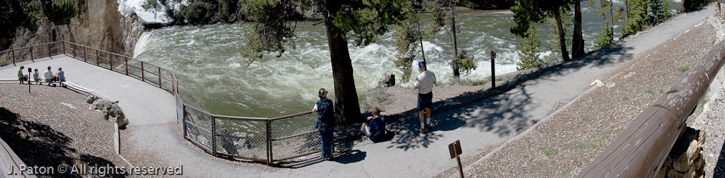 Brink of the Lower Falls    Grand Canyon of Yellowstone National Park, Wyoming
