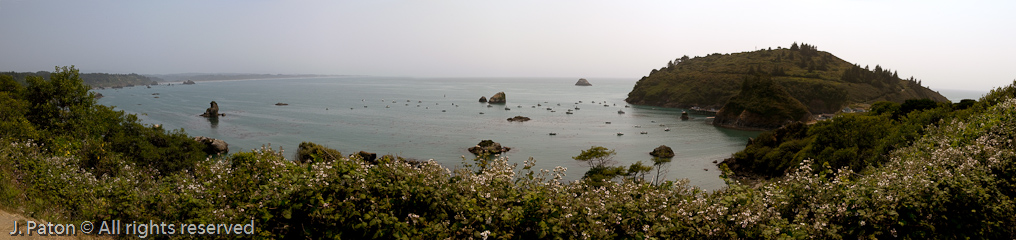 Trinidad Harbor   Trinidad, California