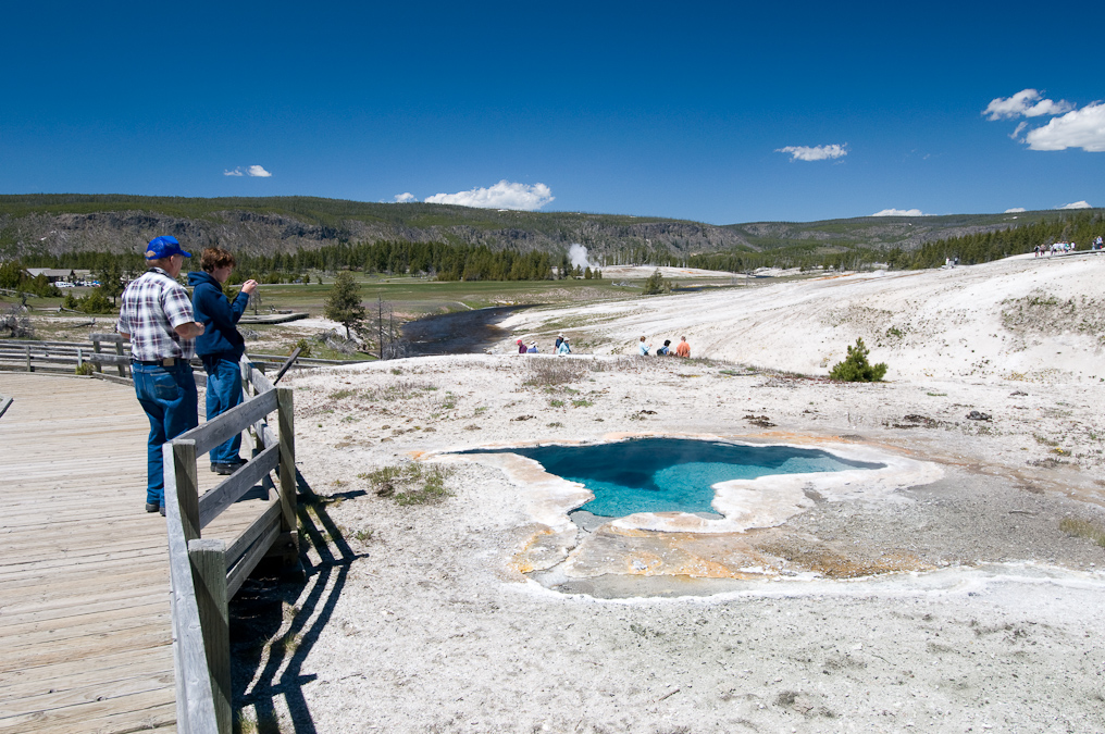 Blue Star Spring   Upper Geyser Basin, Yellowstone National Park