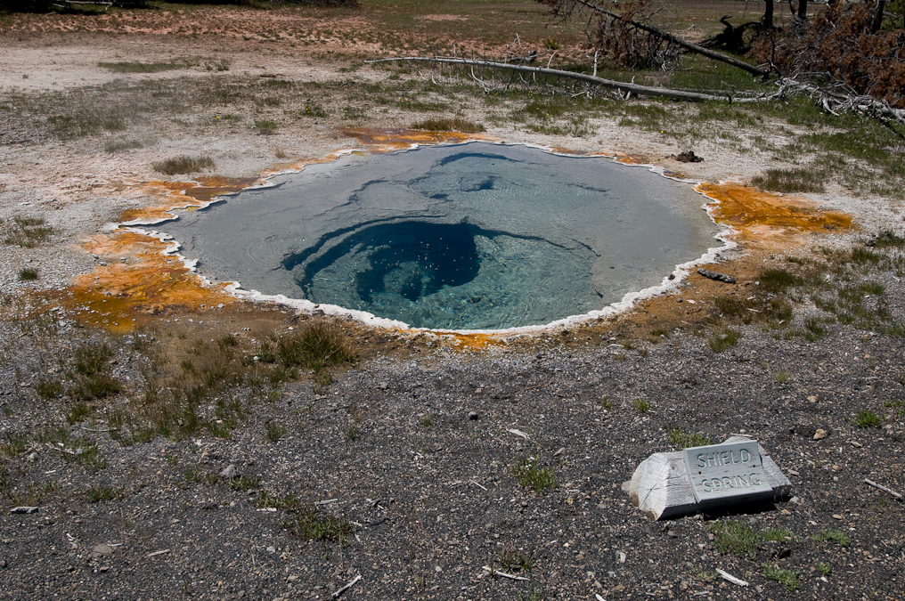 Shield Spring   Upper Geyser Basin, Yellowstone National Park