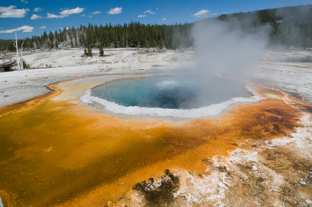 Crested Pool near Castle Geyser   Upper Geyser Basin, Yellowstone National Park