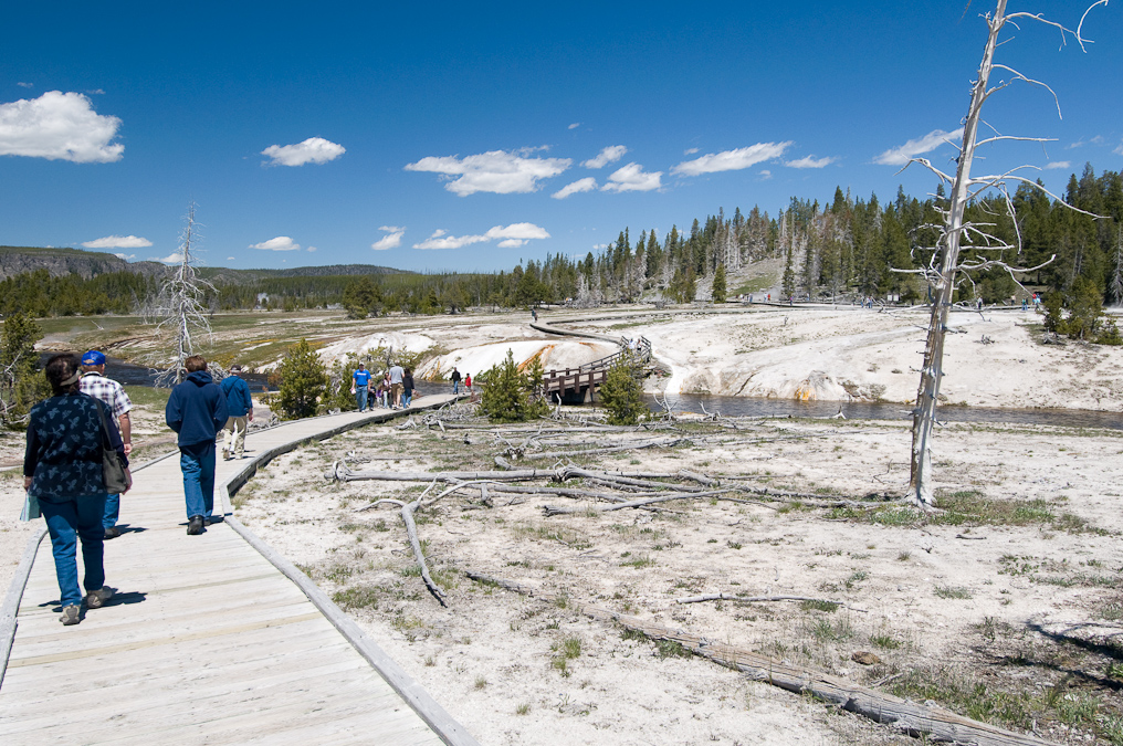 Boardwalk Walking Away from Castle Geyser   Upper Geyser Basin, Yellowstone National Park