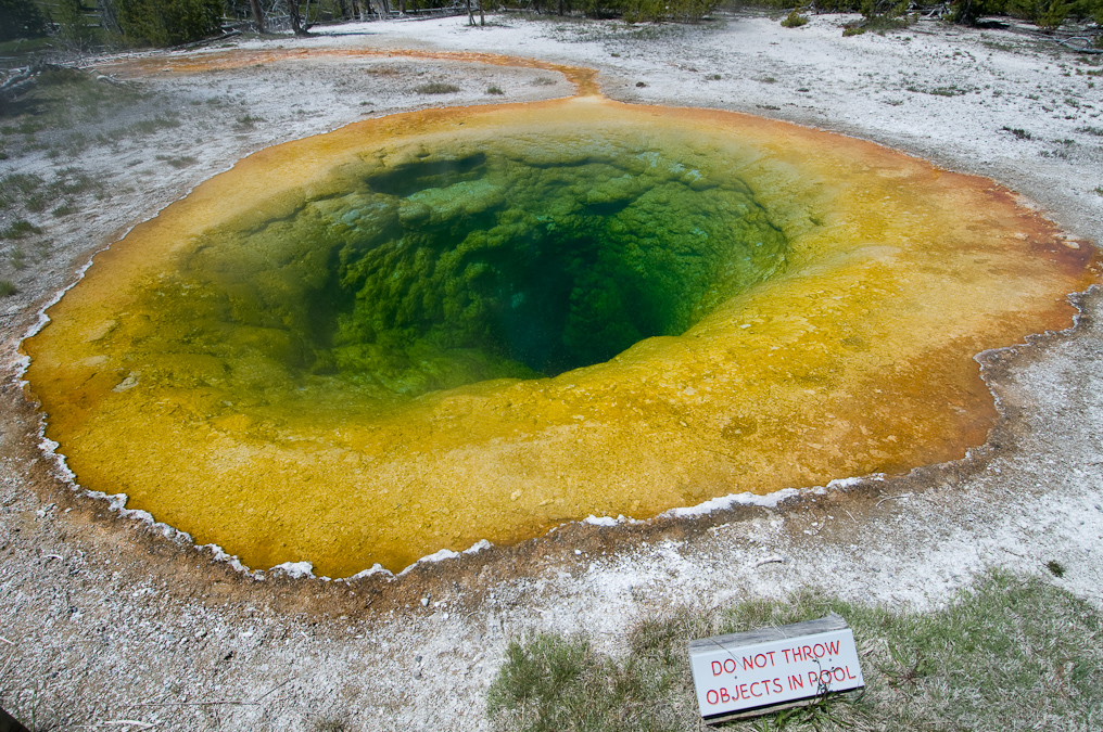 Greenish Morning Glory Pool   Upper Geyser Basin, Yellowstone National Park