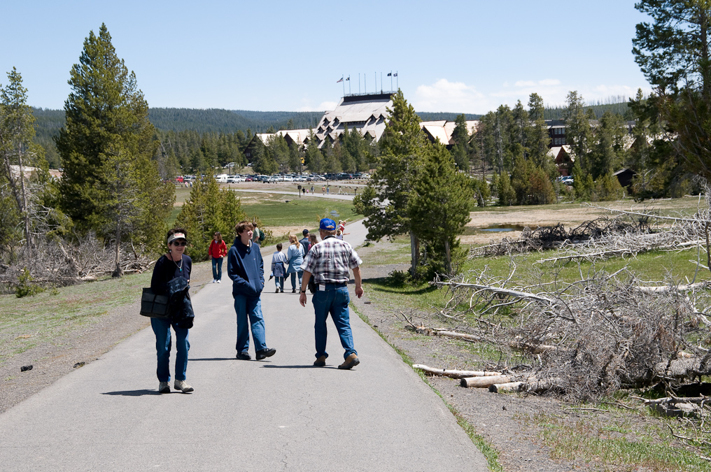 Walk Back to Old Faithful Inn   Upper Geyser Basin, Yellowstone National Park