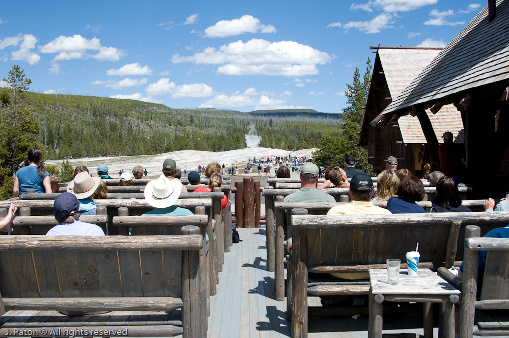 View of Old Faithful Geyser from Old Faithful Inn   Upper Geyser Basin, Yellowstone National Park