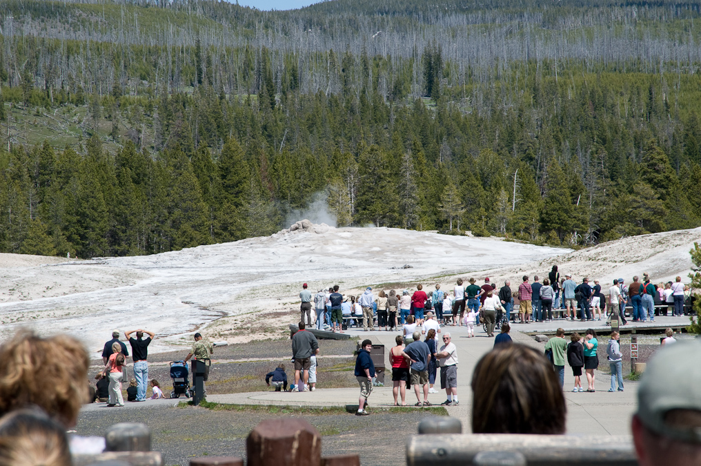 View of Old Faithful Geyser from Old Faithful Inn   Upper Geyser Basin, Yellowstone National Park