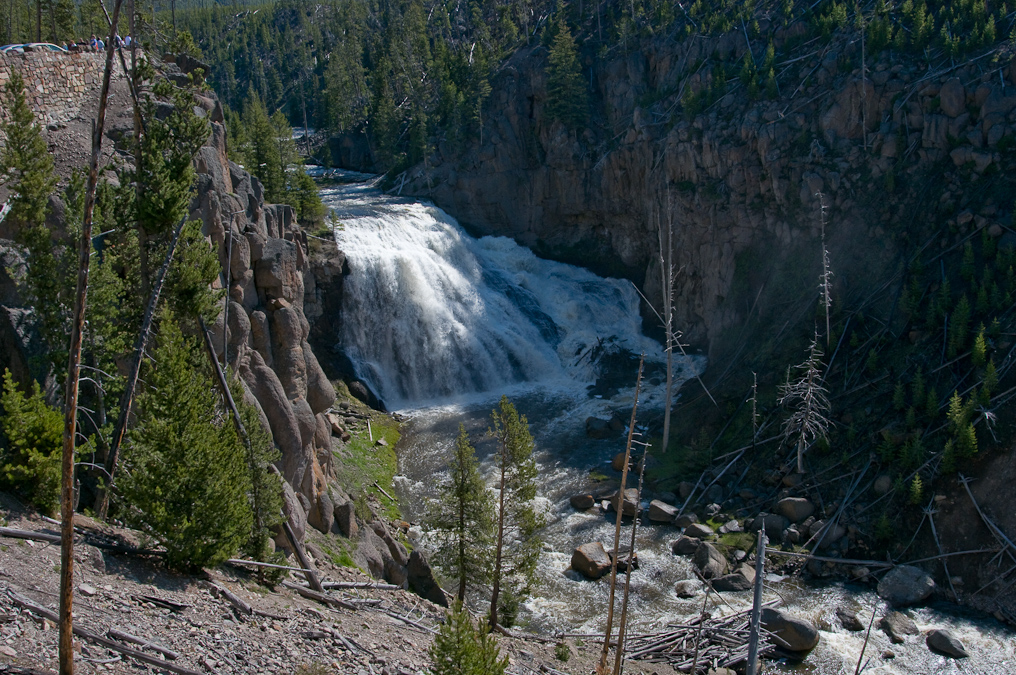 Gibbon Falls   Yellowstone National Park