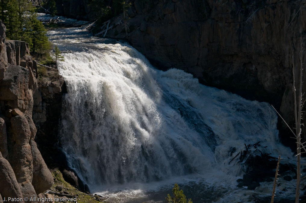 Gibbon Falls   Yellowstone National Park, Wyoming
