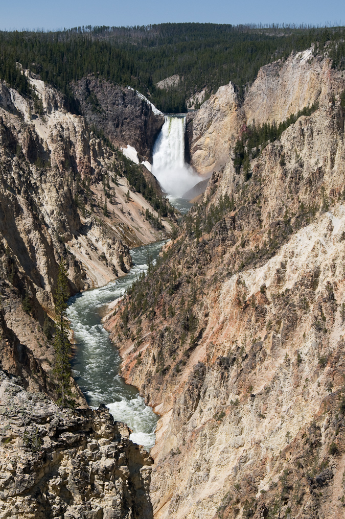 View of the Lower Falls   Artist Point, Yellowstone National Park
