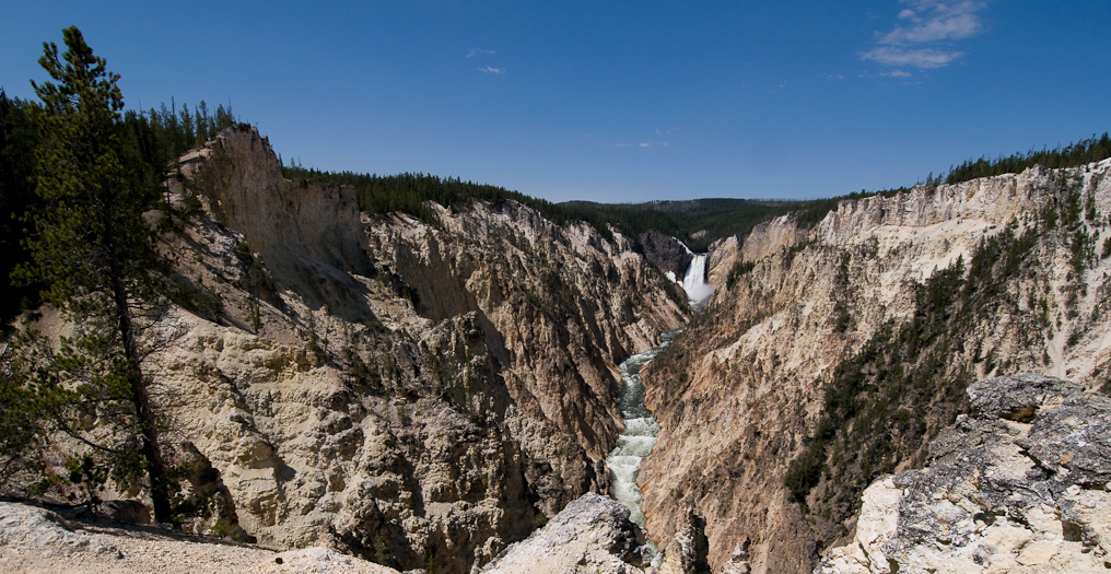 View of the Lower Falls   Artist Point, Yellowstone National Park