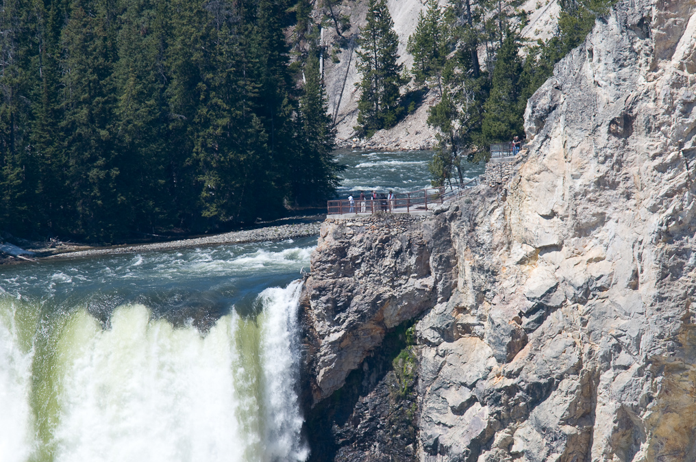    Brink of the Lower Falls, Yellowstone National Park