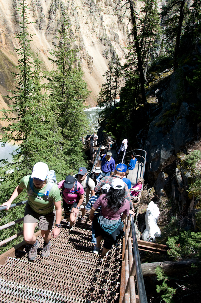 Trail Steps   Uncle Tom's Trail, Yellowstone National Park