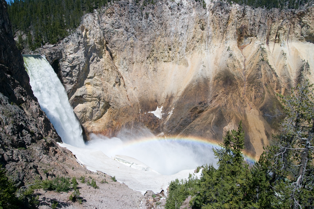 View of the Lower Falls   Uncle Tom's Trail, Yellowstone National Park