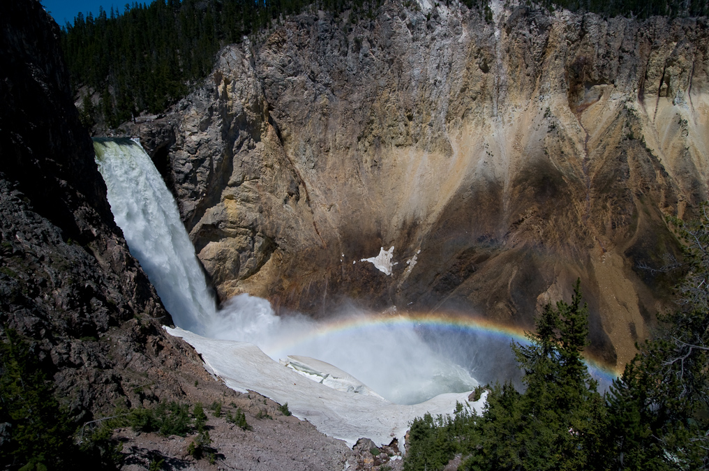 View of the Lower Falls   Uncle Tom's Trail, Yellowstone National Park