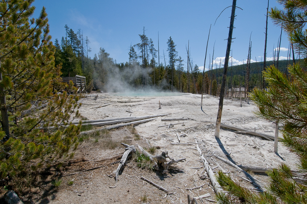 Cistern Spring   Norris Geyser Basin, Yellowstone National Park