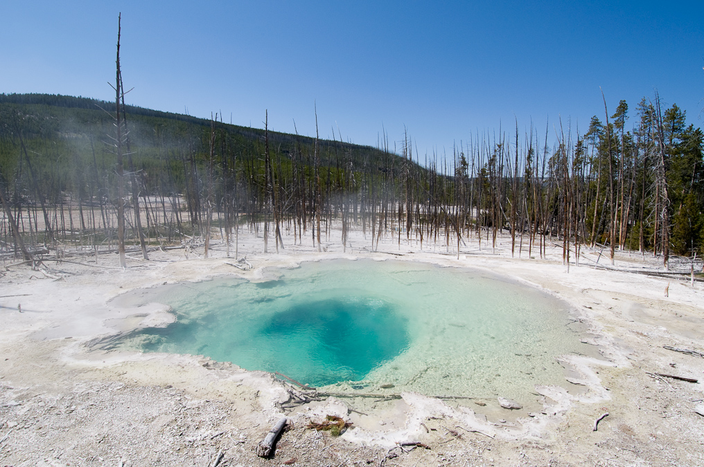 Cistern Spring Tree Killer   Norris Geyser Basin, Yellowstone National Park
